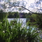 McKay Lake - Ottawa