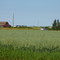 Hwy 597 West of Blackfalds