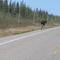 to yellowknife