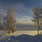 North Arm Park