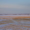 Serene Winter Prairie West of Edmonton Feb '09
