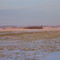 Prairies Of White And Gold From West of Edmonton Feb '09