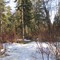 Early Spring Tranquility Along The Trail At Wagner Natural Area West Of Edmonton Apr '09