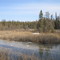 A Beautiful Day At Wagner Natural Area West Of Edmonton Apr '09