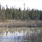 A Tranquil Spring Day At Wagner Natural Area West Of Edmonton Apr '09