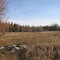 Spring Parkland Tranquility At Wagner Natural Area West Of Edmonton Apr '09