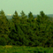 A Distant View of the Skyscrapers of Downtown Edmonton From the Glory Hills, North of Spruce Grove AB