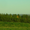 Golds And Greens With the View East Towards Edmonton in the Glory Hills Near Spruce Grove, AB
