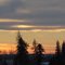 A Winter Sunset Naturally Framed By Spruce Trees - Scenery West of Edmonton AB, Jan '10