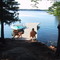 The Dock GW