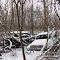 Old wrecked cars rusting away.