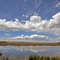 Red Deer Lake  in Lloyd Park, Calgary SW, Alberta