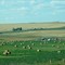 Calgary Farmland