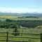 Foothills and Rockies, south of Calgary