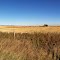 Near Calgary, AB