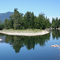 A Clark Fork River island frequented by moose.