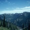 Scotchman from Bee Top Trail