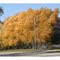 Fall is the most beautiful time of the year