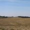 Rolling Hills near Kewanee