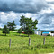 La ferme de Monsieur L... à Lac-du-Cerf