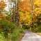 Les couleurs en foret