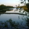 Murray Brook