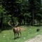 OMEGA PARK