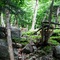 OMEGA PARK