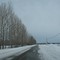 Tree-lined near the river
