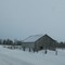 Snow covered Ontario shed