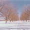 Ch. St-Viateur, La Ferme, hiver 1972-73 n