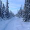 Trail de motoneige