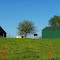 Leaning more towards Red Barns