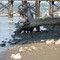 Queensborough River Walk 001