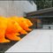 Orange Bear Station
