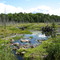 Beaver Dam