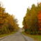 Autumn in the country