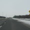 Moose ahead