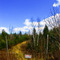 Chemin des Iles 01