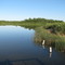 Clifford E. Lee Nature Sanctuary