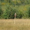 Bird-house Clifford E. Lee Sanctuary  (near Devon Alberta Canada)