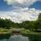 Japanese Garden