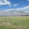 A Forest And Grass Fire Burning Out Of Control In A Ravine Beyond The Prairie Just of West of Devon AB (Southwest of Edmonton), May  15th '11
