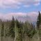 Columns Of Smoke Emerging From The Forested Ravine Slopes On Fire Just West of Devon, Alberta (Southwest of Edmonton) May 15th, 2011 (Same Day The Massive Slave Lake AB Fire Broke Out
