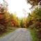 Chemin d'automne