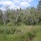 Paysage en bordure de chemin