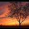 Esperando a que se vaya el sol (Gracias Moncho)