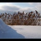 Danse d'hiver