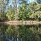 Wyong River Paddling