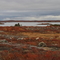 Snap Lake, view from the parking lot